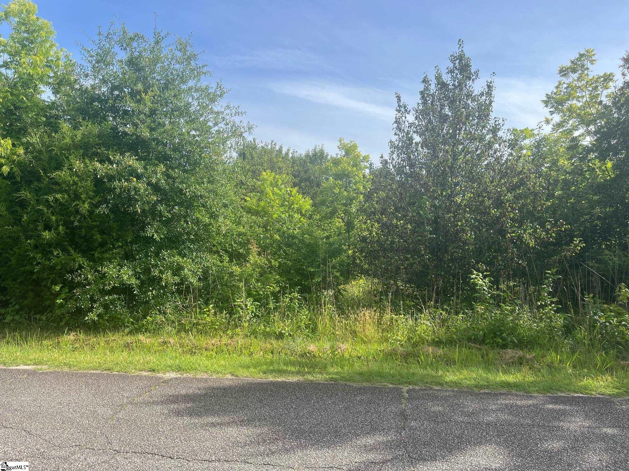 0 Babb Road Greer, SC 29651 - Photo 1 of 3