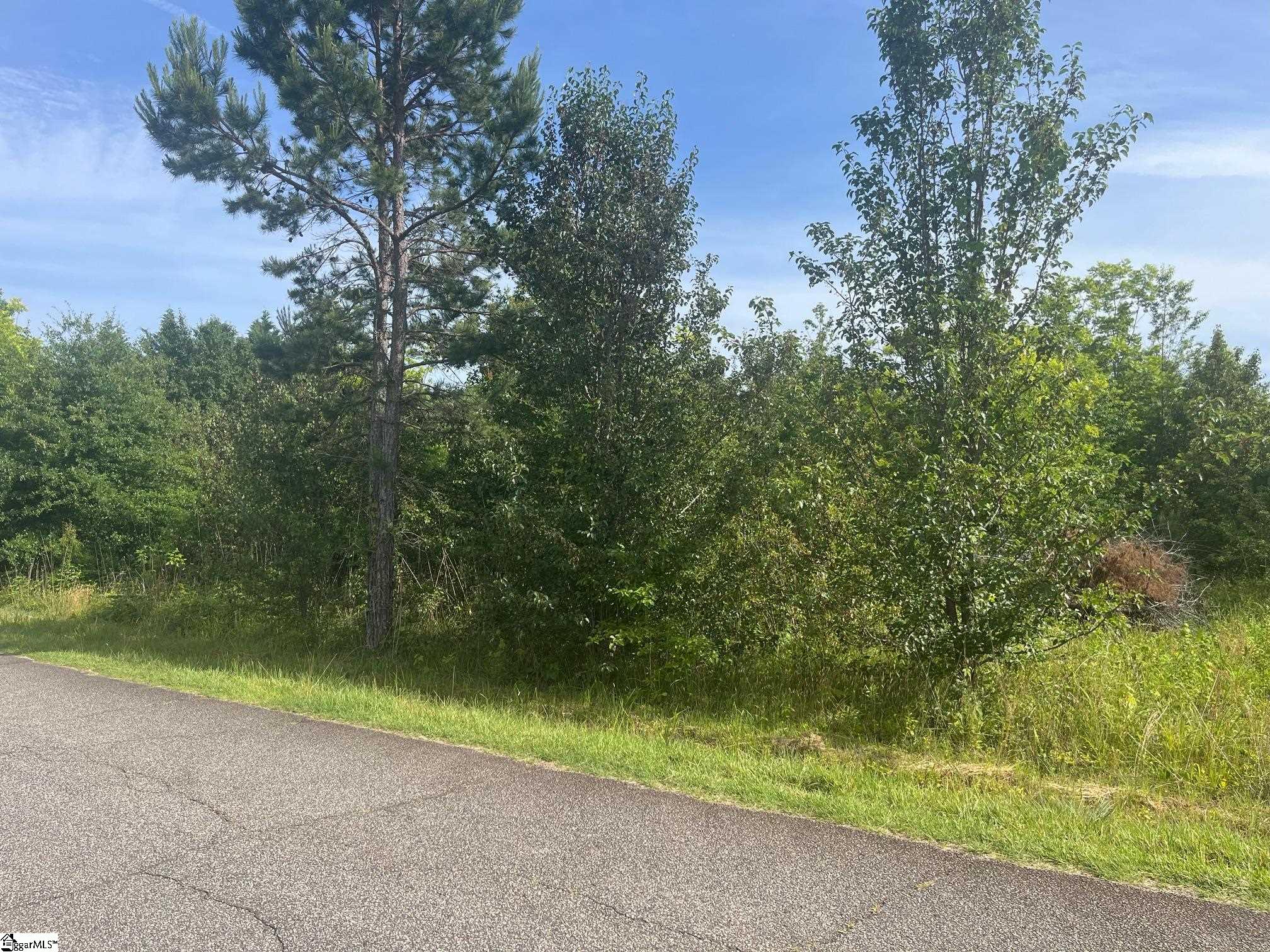 0 Babb Road Greer, SC 29651 - Photo 3 of 3