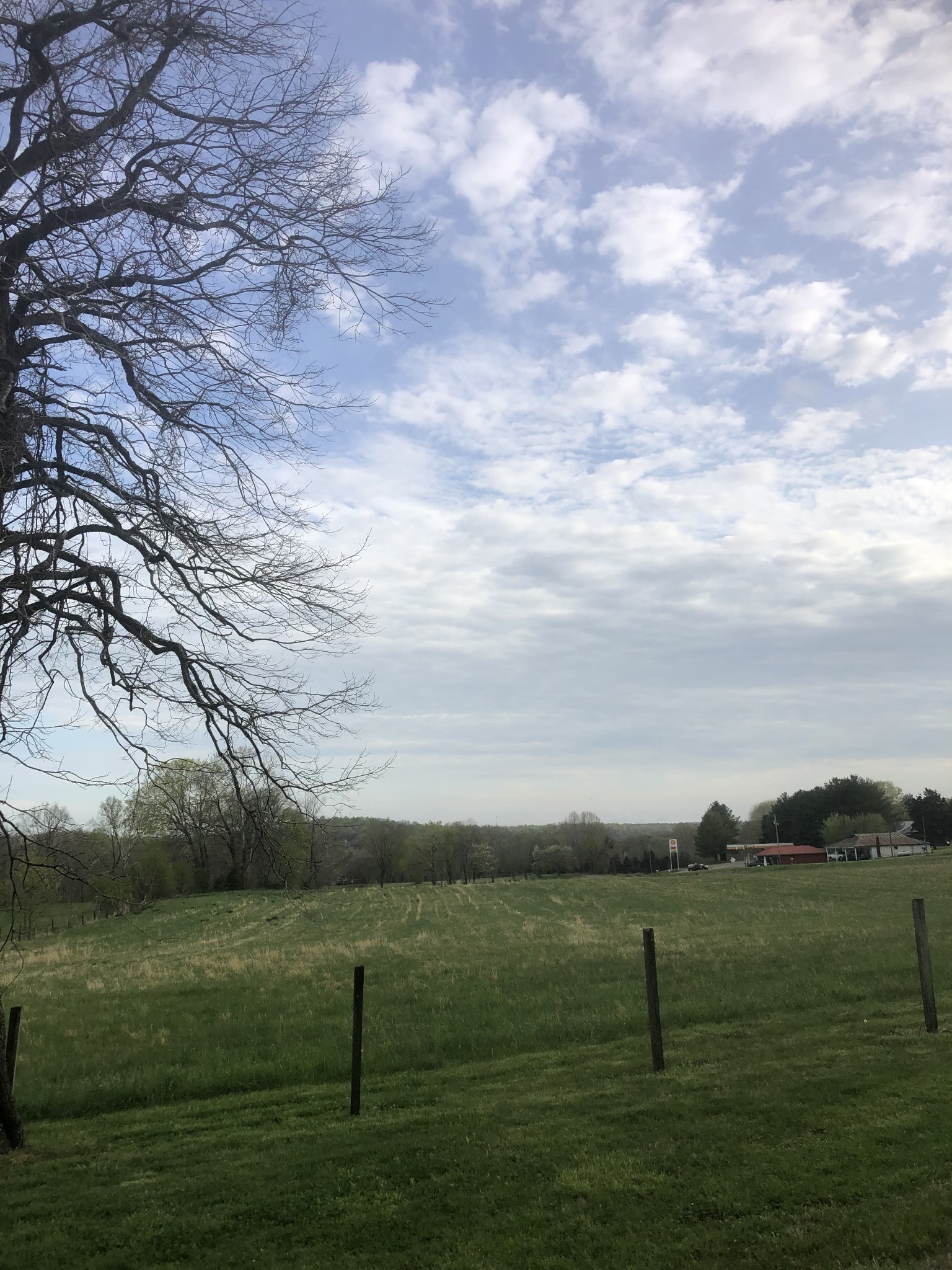 5651 State Highway 48 Cunningham, TN 37052 - Photo 6 of 10