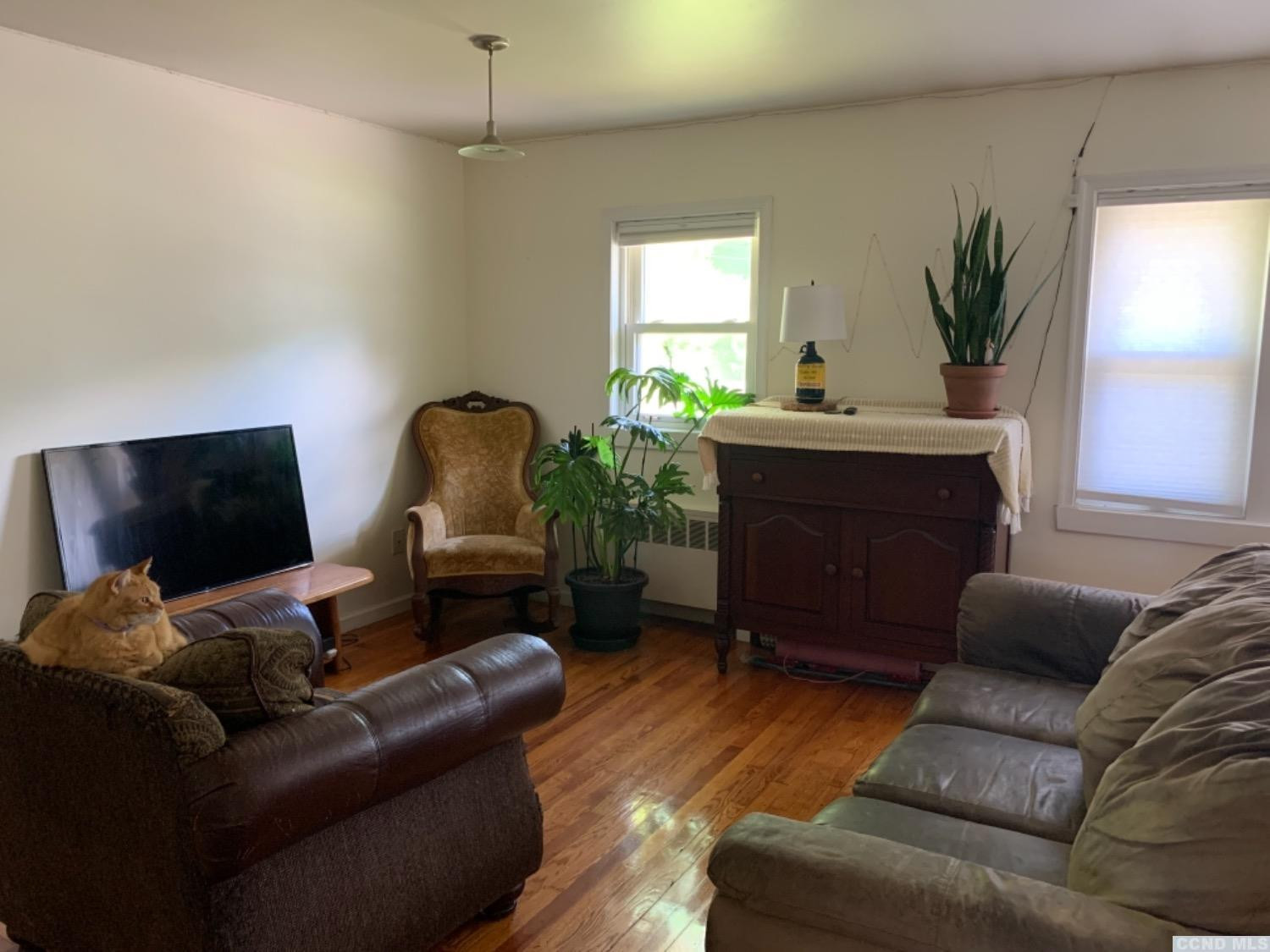 4 First Street Catskill, NY 12414 - Photo 4 of 26 Photo 4
