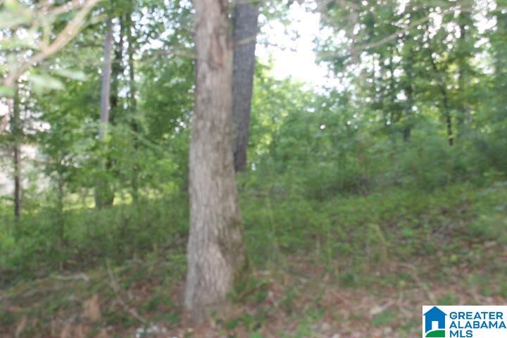 0 Red Cedar Drive, Unit 121 Wedowee, AL 36278 - Photo 12 of 21