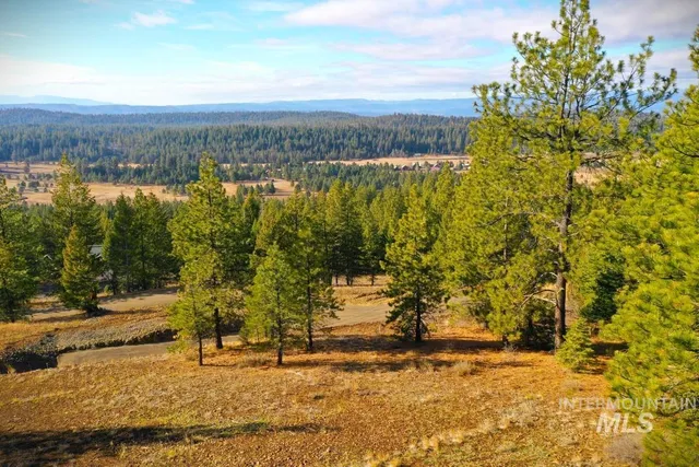 $299,000 | Lot 18 Harrington Place, McCall, ID 83638