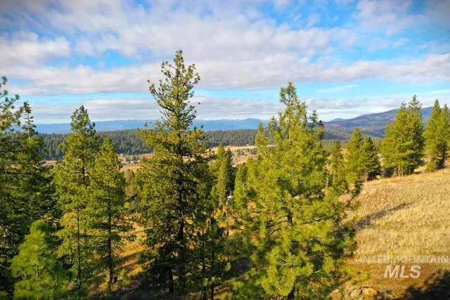 $299,000 | Lot 18 Harrington Place, McCall, ID 83638