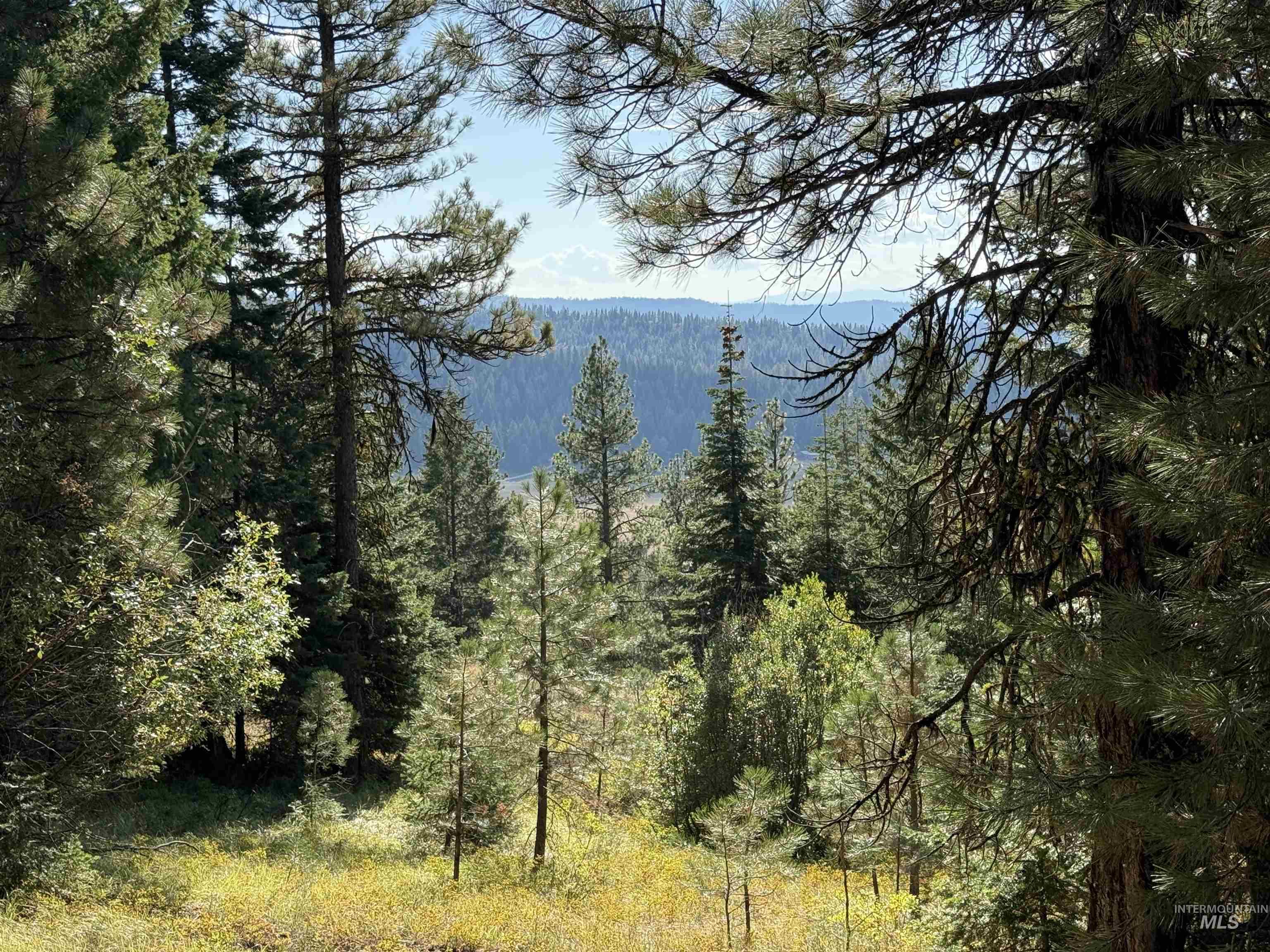 Lot 18 Harrington Place McCall, ID 83638 - Photo 21 of 27 Water view featuring a forest