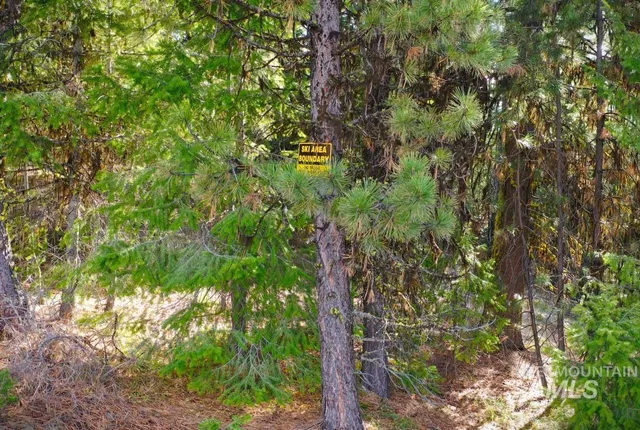$299,000 | Lot 18 Harrington Place, McCall, ID 83638