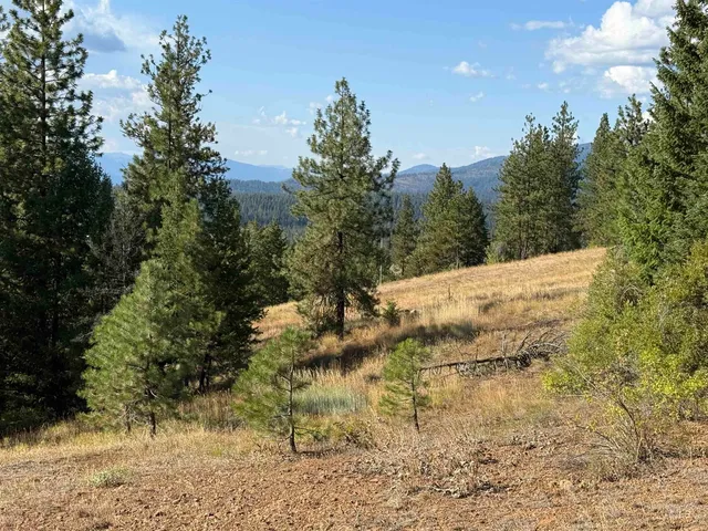 $299,000 | Lot 18 Harrington Place, McCall, ID 83638