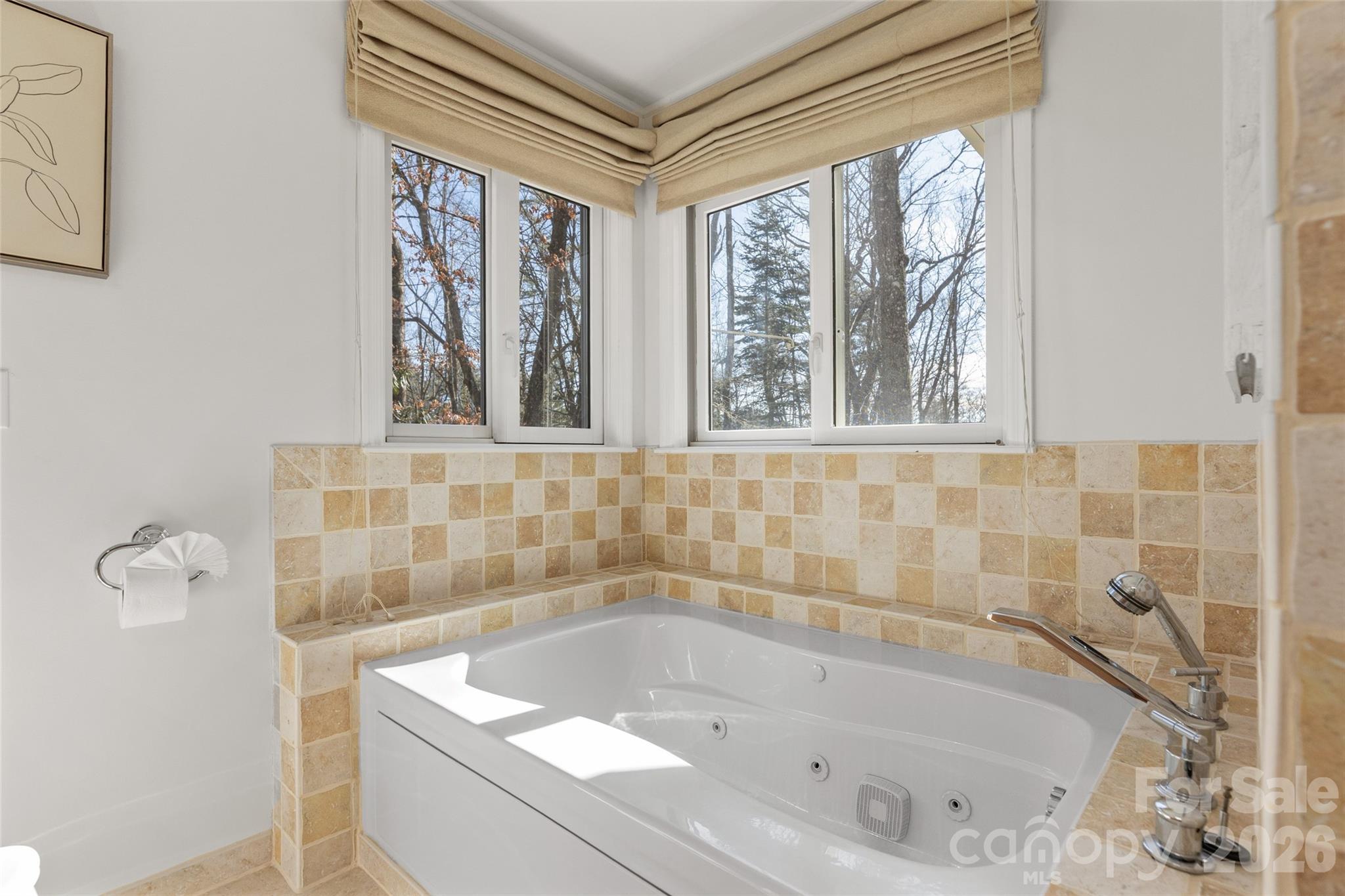 85 Ralph Thomas Road Highlands, NC 28741 - Photo 35 of 48