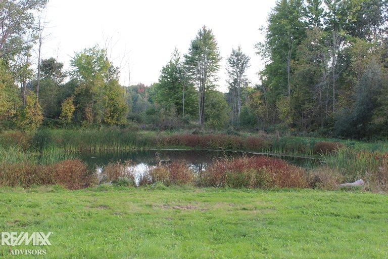 11177 Rose Road Emmett, MI 48022 - Photo 9 of 20
