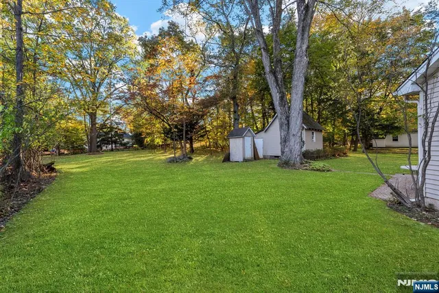 a view of a park with large trees