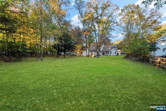 a view of a park with large trees