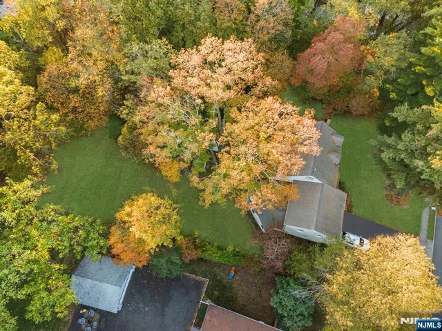 a view of a street with a tree