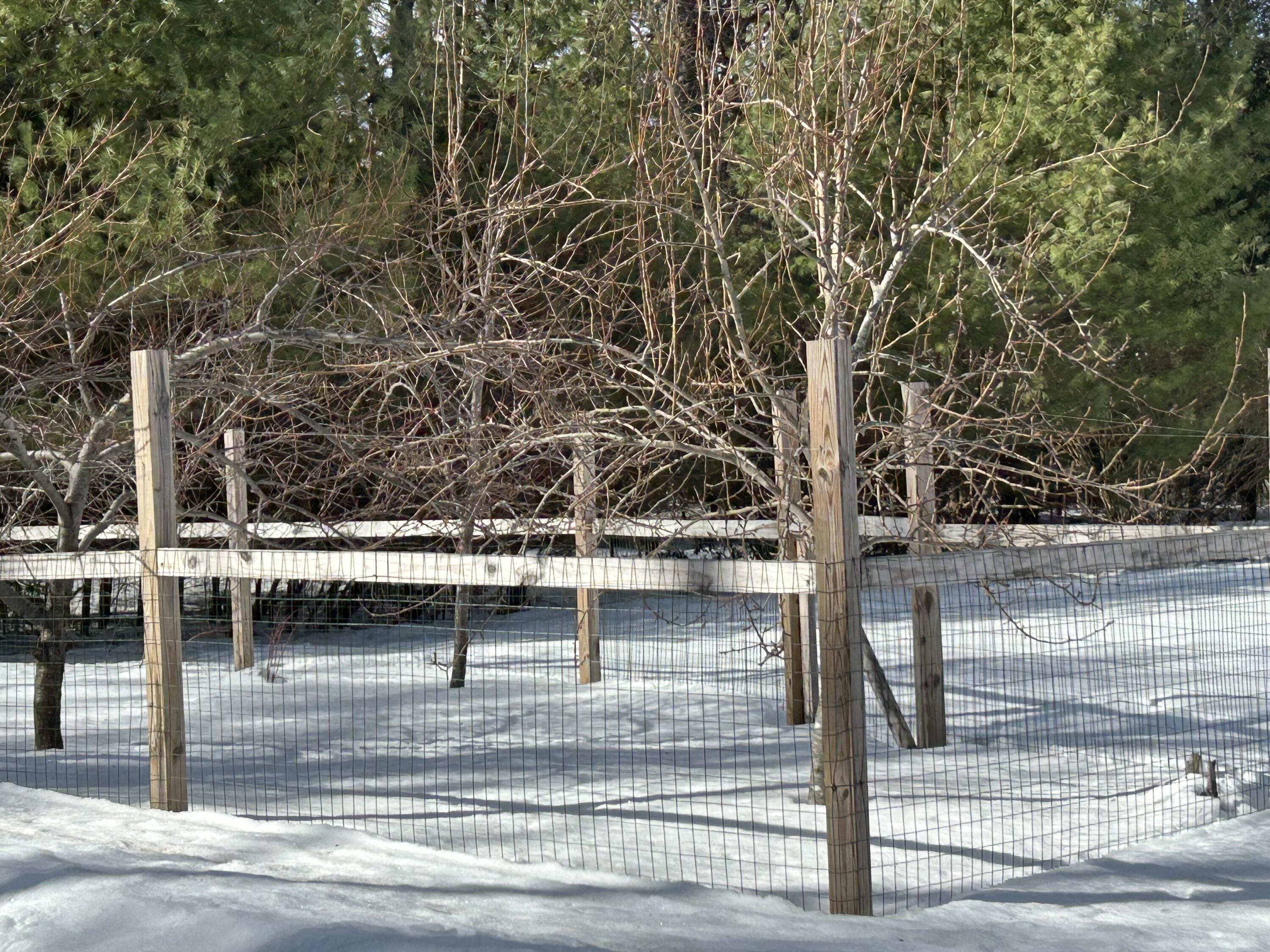 40 Woodland Road Pownal, ME 04069 - Photo 11 of 68 IMG_0464