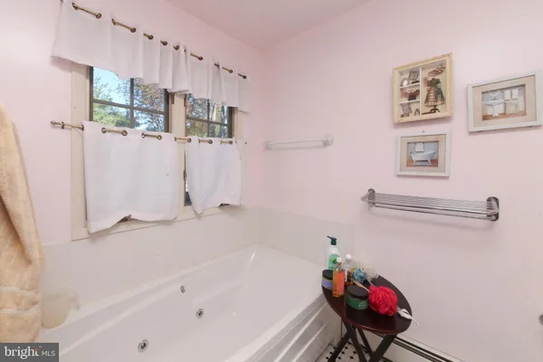 a bathroom with a tub a sink and a shower