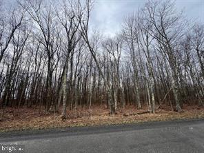 15.75 Acres Bethlehem Road Oakland, MD 21550 - Photo 4 of 5 a view of a backyard of the house