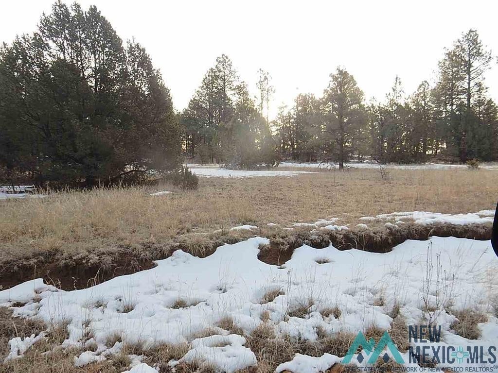 13 County Road Buena Vista, NM 87712 - Photo 8 of 11 Gallery Image 8