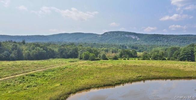239 Springtown Road New Paltz, NY 12561 - Photo 2 of 36 a view of an outdoor space and mountain view