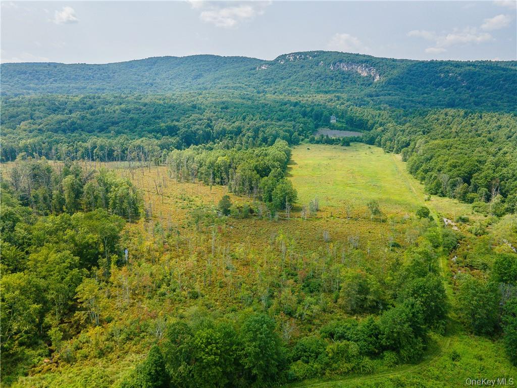 239 Springtown Road New Paltz, NY 12561 - Photo 8 of 36 a view of a lush green hillside and a building