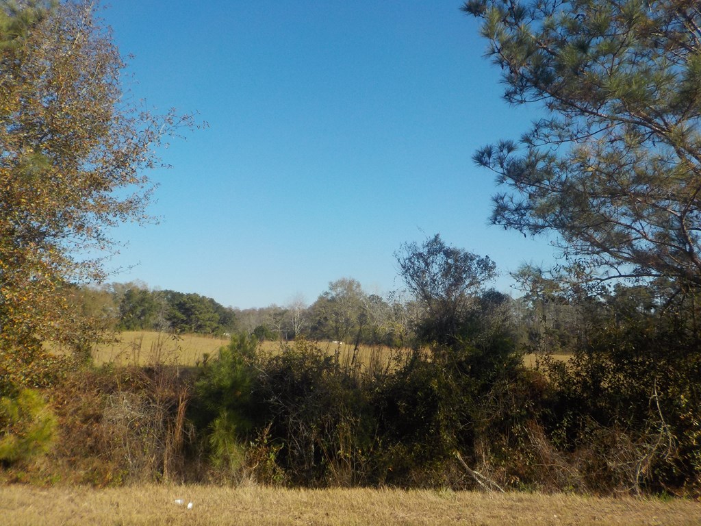 6904 South Cty Road Cottonwood, AL 36320 - Photo 15 of 23