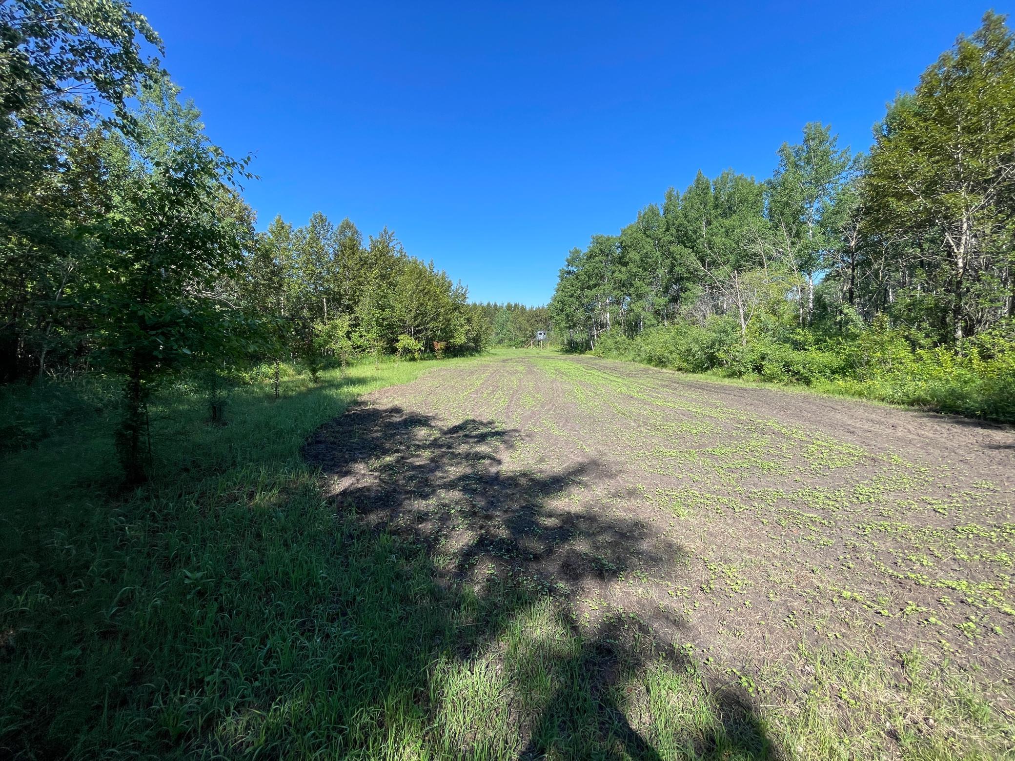 Tbd 440th Avenue Roseau, MN 56751 - Photo 35 of 80