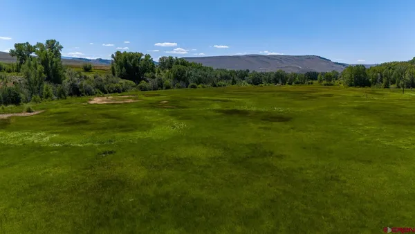 a view of a big yard with a house in the background