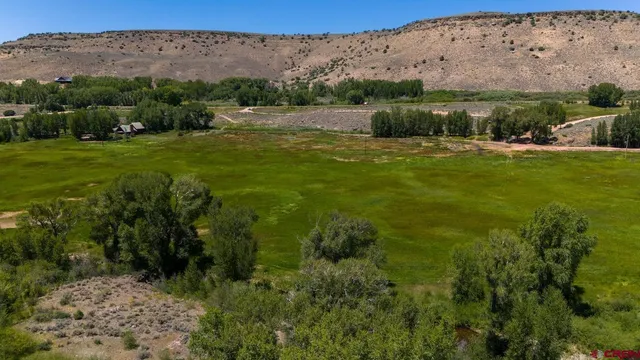 a view of grassy field with mountain
