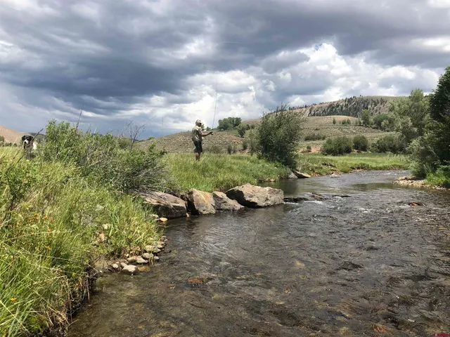 a view of a yard with furniture and a forest