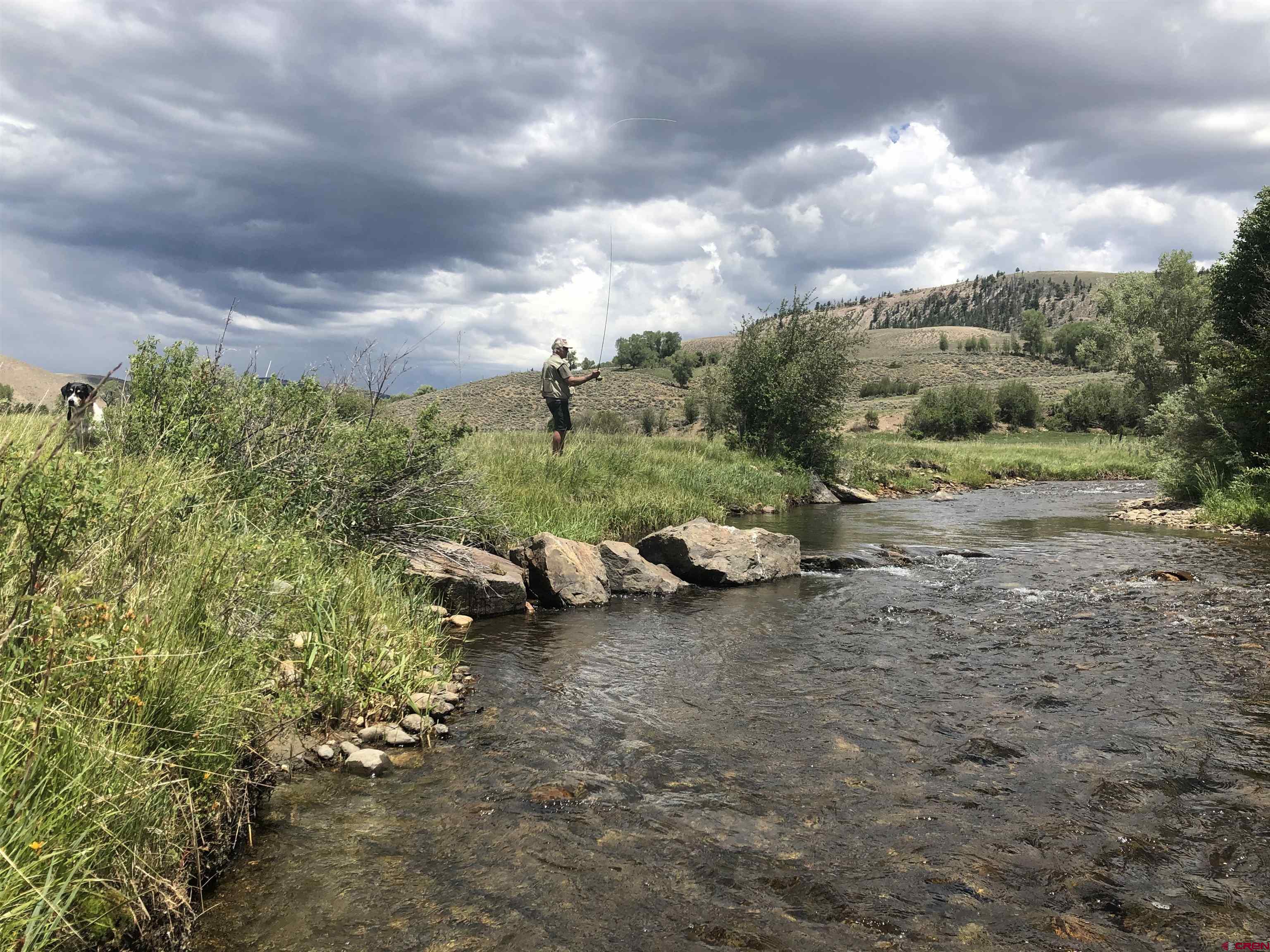 32 Bench Road Parlin, CO 81239 - Photo 20 of 34 a view of a yard with furniture and a forest