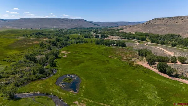 a view of a lush green hillside and a houses