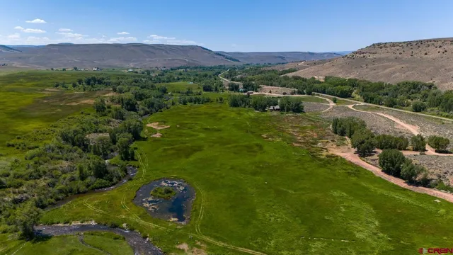 a view of a lush green hillside and a houses
