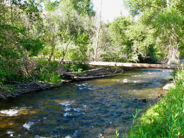 a backyard of a house with lots of green space and lake view