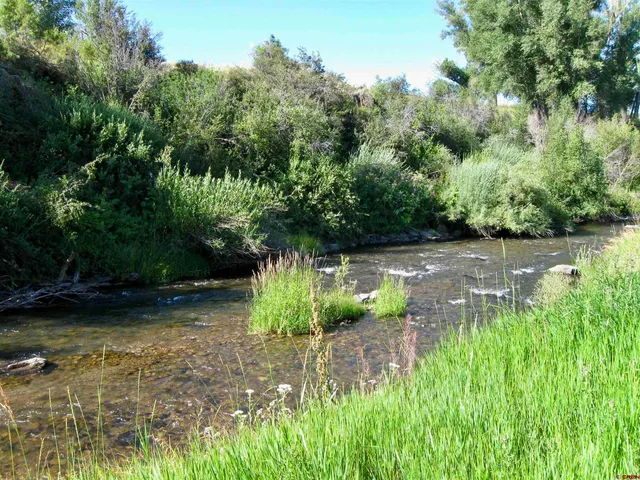 a view of a garden with a building in the background