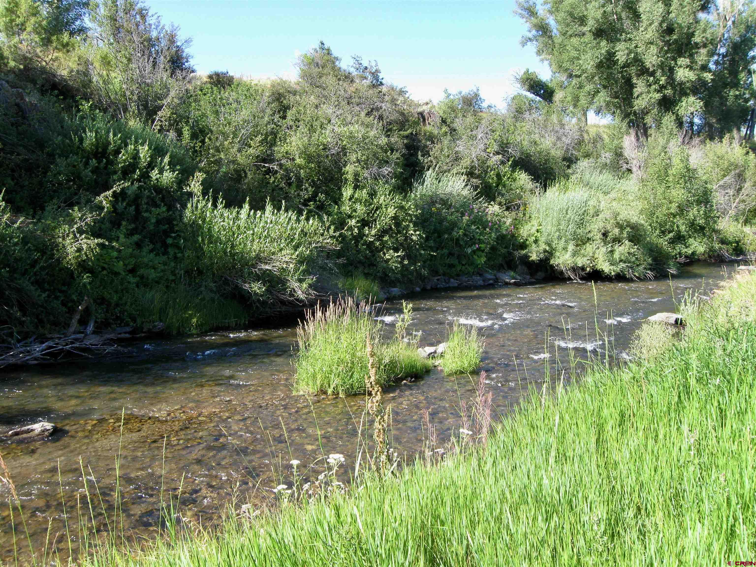 32 Bench Road Parlin, CO 81239 - Photo 22 of 34 a backyard of a house with lots of green space and lake view