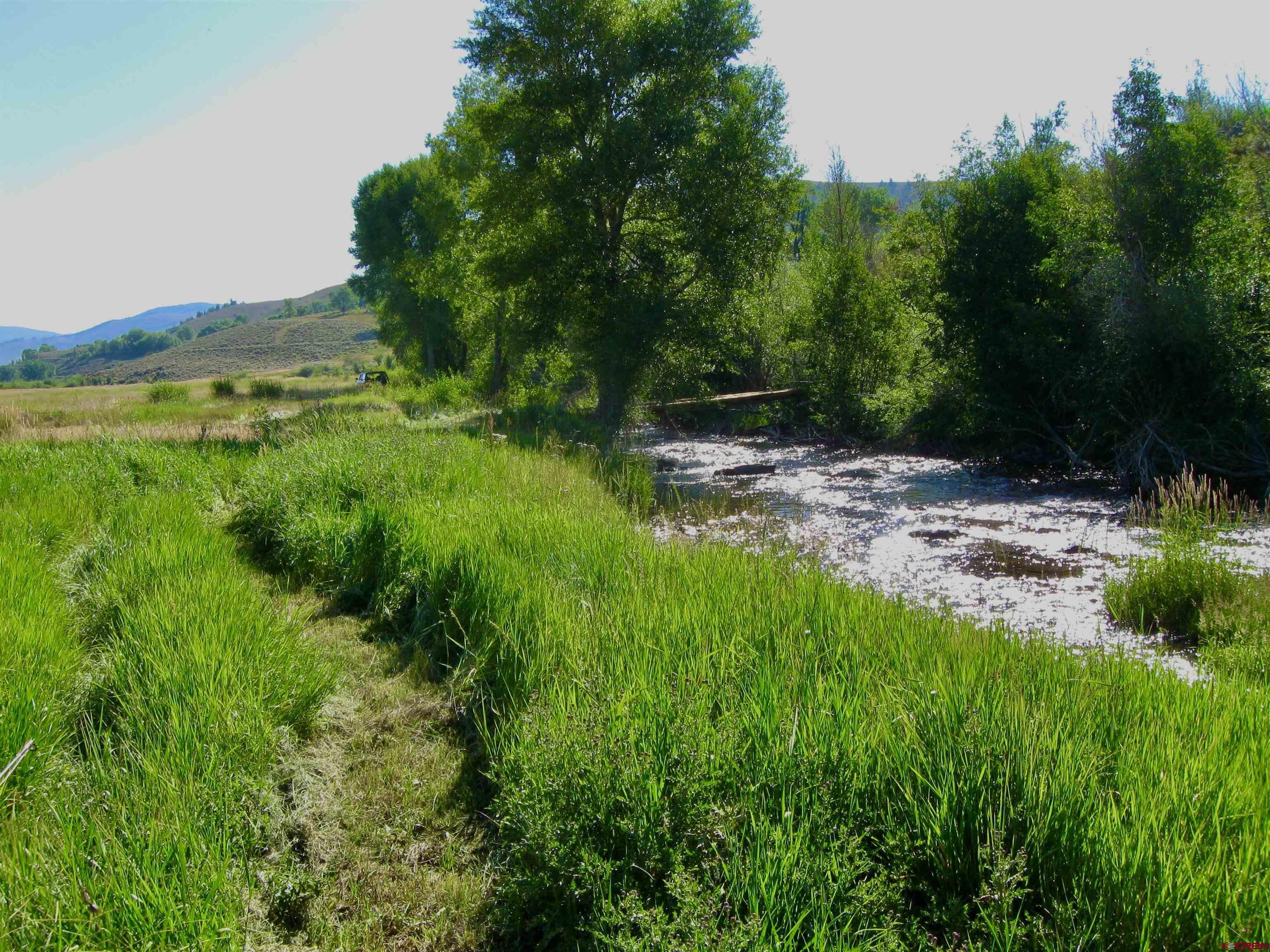 32 Bench Road Parlin, CO 81239 - Photo 25 of 34 a view of a yard with plants and a large tree