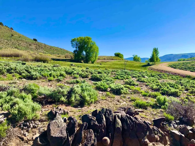 a view of a field with an ocean view