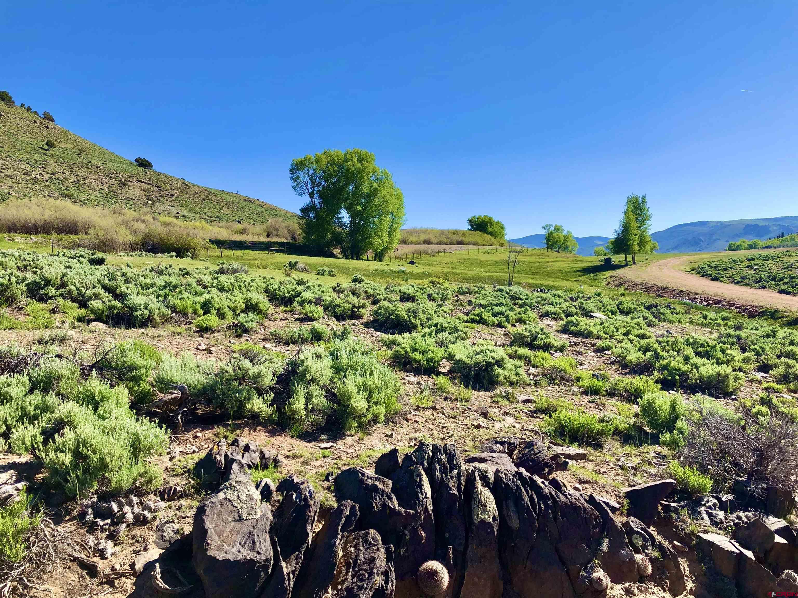 32 Bench Road Parlin, CO 81239 - Photo 26 of 34 a view of a garden with a lot of trees