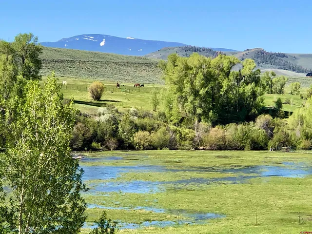 a view of a lush green hillside and houses