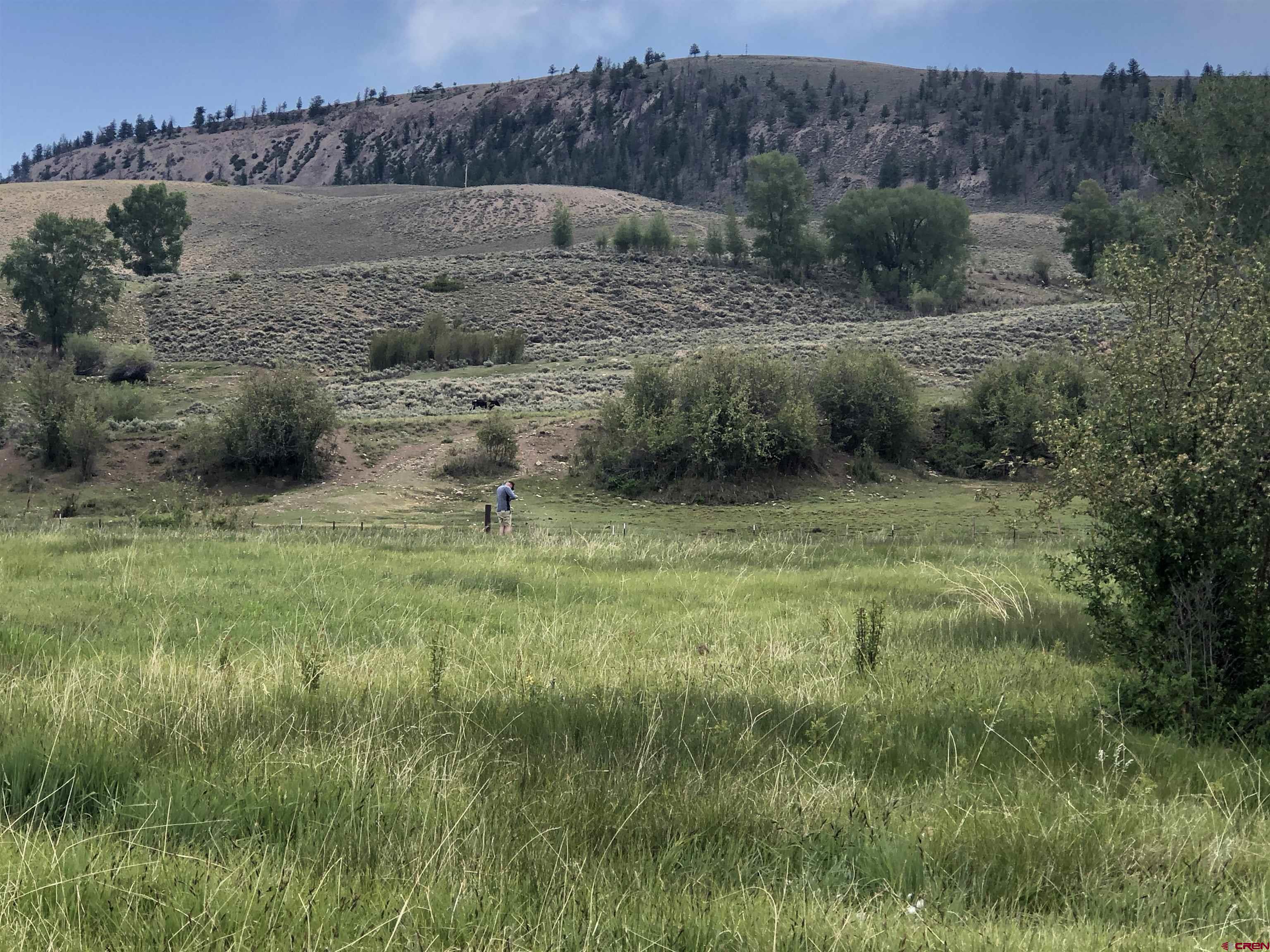32 Bench Road Parlin, CO 81239 - Photo 31 of 34 a view of a lush green field
