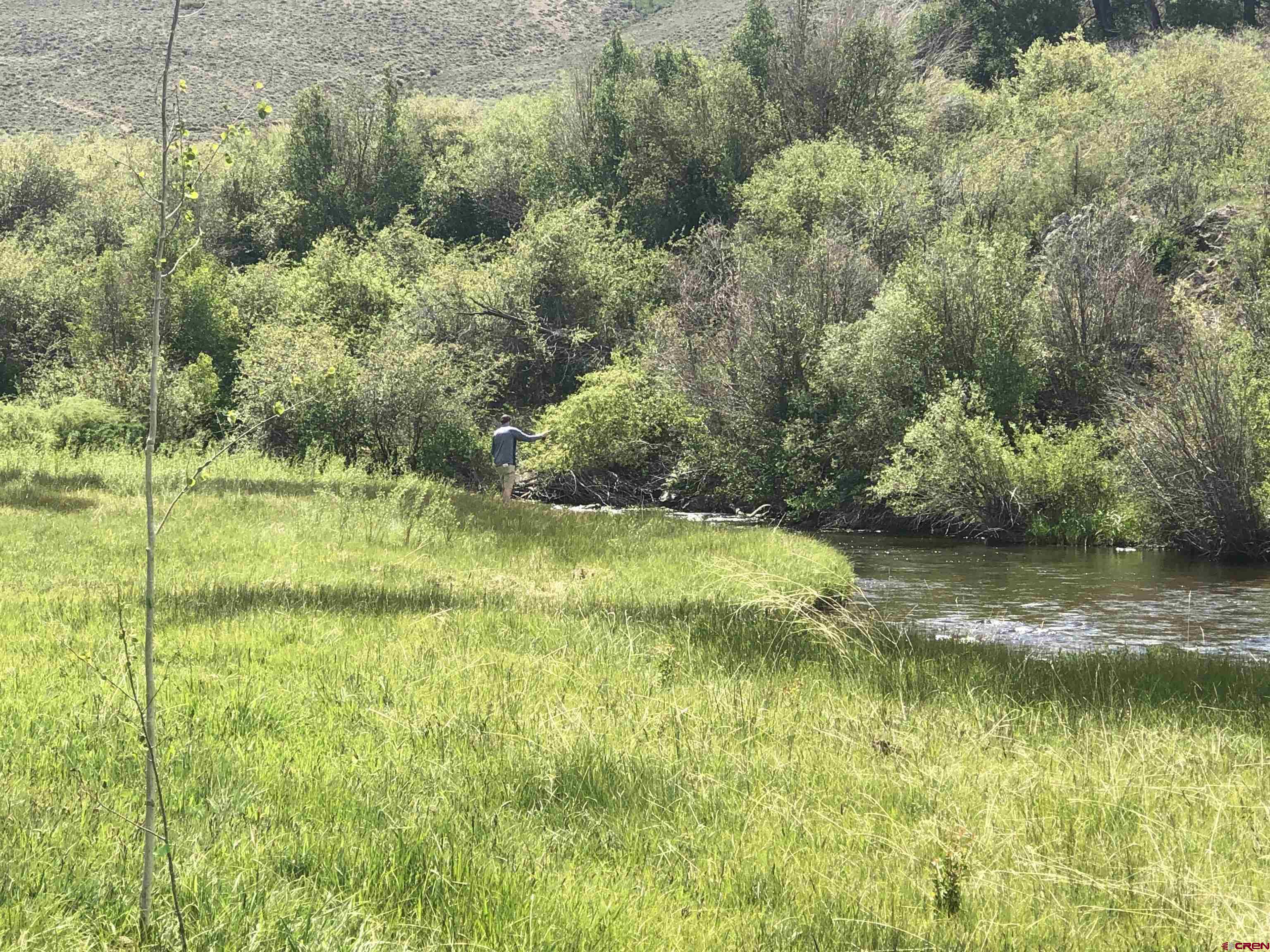 32 Bench Road Parlin, CO 81239 - Photo 32 of 34 a view of a garden with a lake