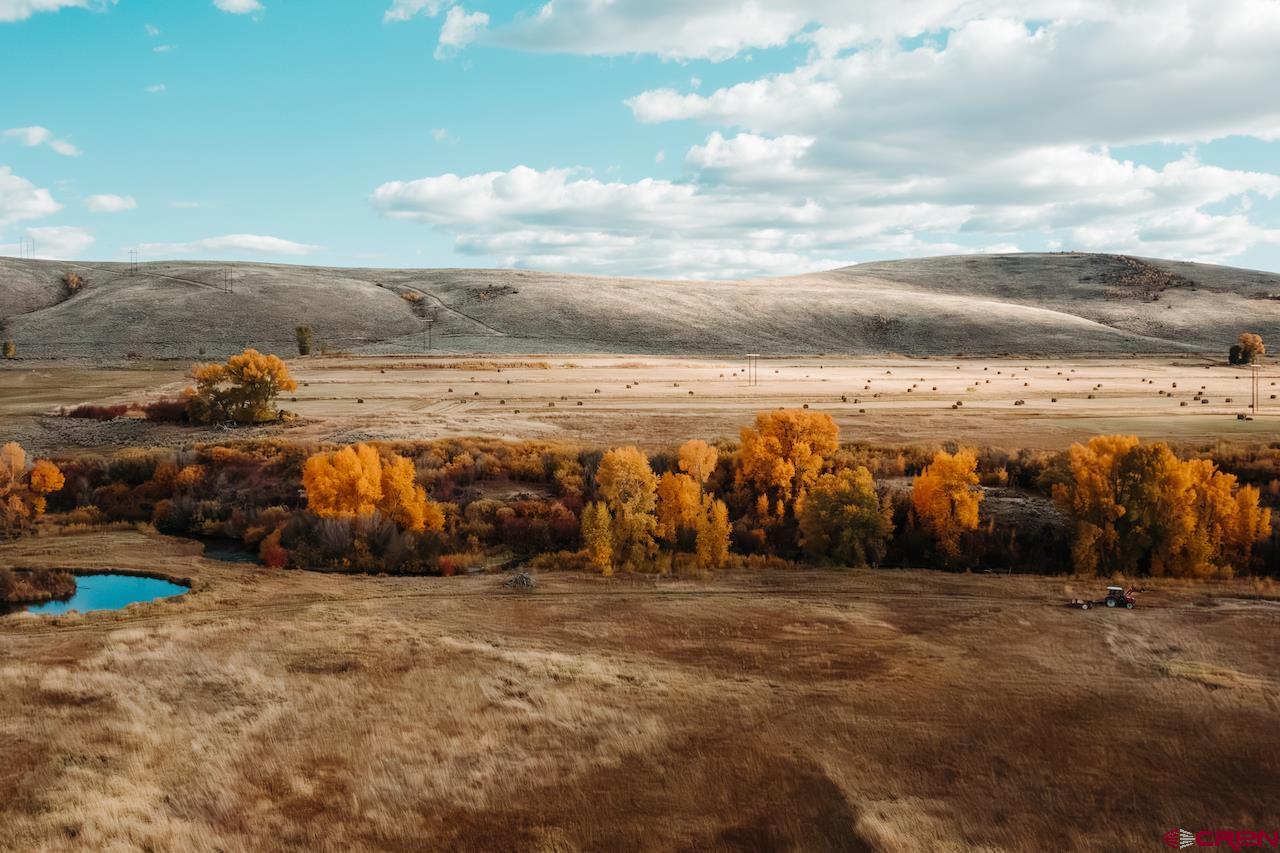 32 Bench Road Parlin, CO 81239 - Photo 33 of 34 a view of outdoor space with lots of trees