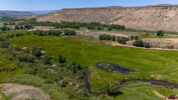 an aerial view of huge green field with lots of green plants in it