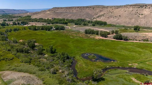 an aerial view of huge green field with lots of green plants in it