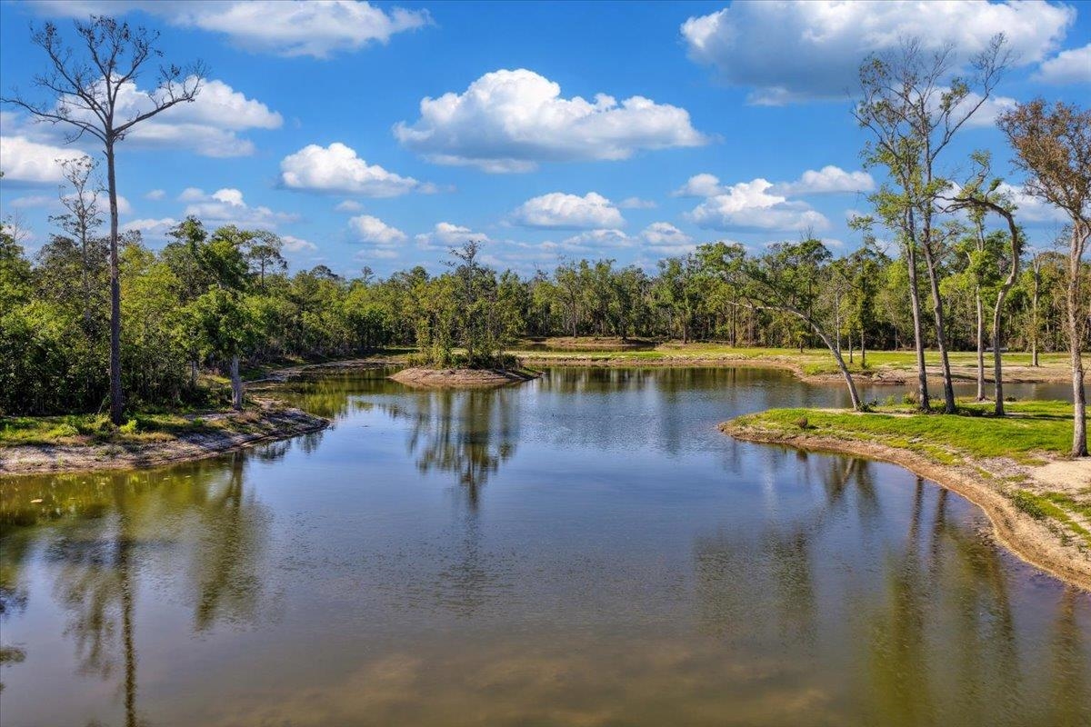 0 Northwest Roys Road Steinhatchee, FL 32359 - Photo 8 of 70