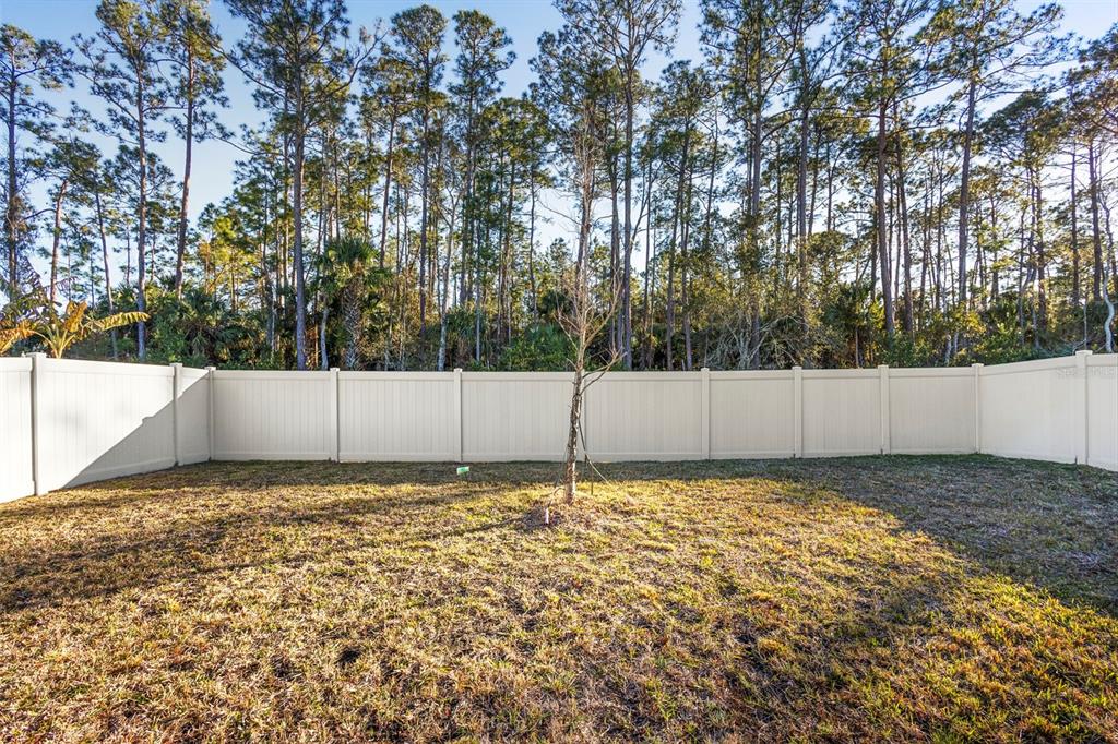 5601 Estero Loop Port Orange, FL 32128 - Photo 37 of 42