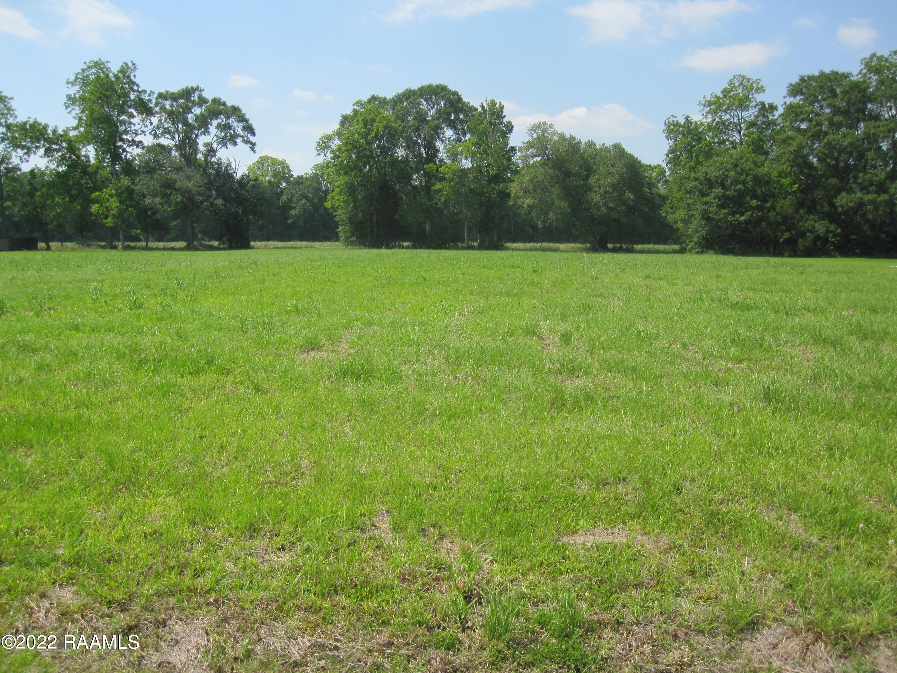 Lot 15 Alcide Bonin Road Breaux Bridge, LA 70517 - Photo 1 of 3 IMG_3709