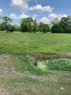 Lot 15 Alcide Bonin Road Breaux Bridge, LA 70517 - Photo 3 of 3 IMG_0197