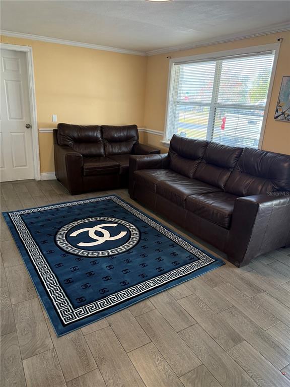 4550 Abdella Lane Holiday, FL 34690 - Photo 10 of 41 a living room with a couch and a rug