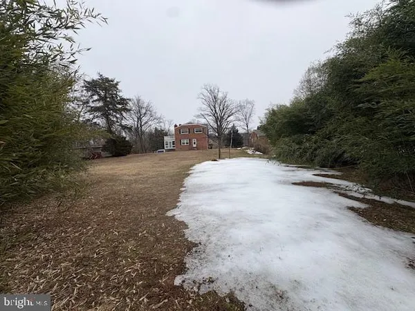 a view of a road with trees in the background