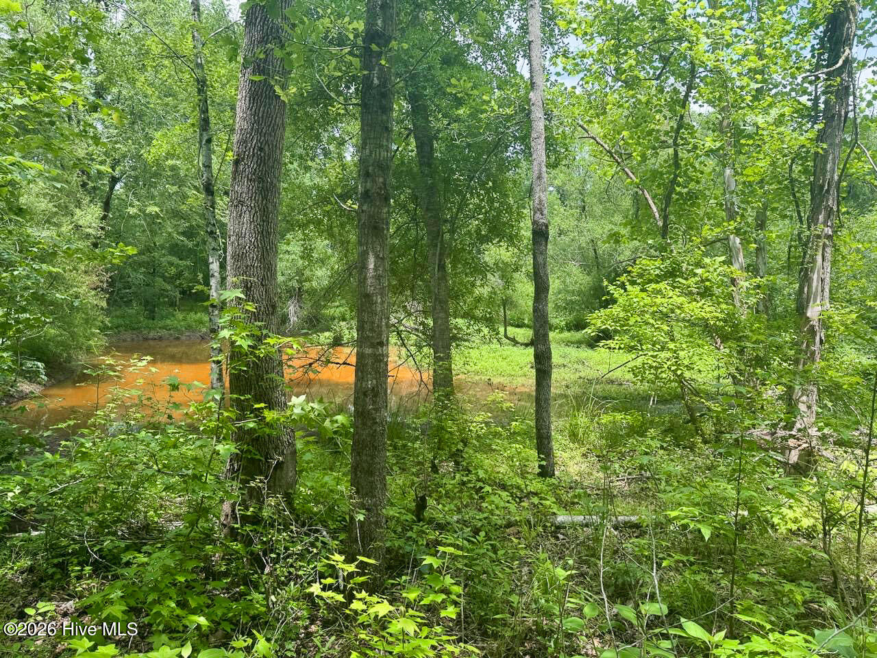 846 Briggs Road North Augusta, SC 29860 - Photo 45 of 58 Creek!