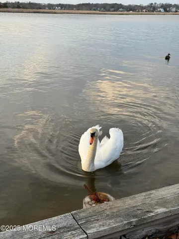 $2,299,000 | 760 Clubhouse Plaza, Brick, NJ 08723