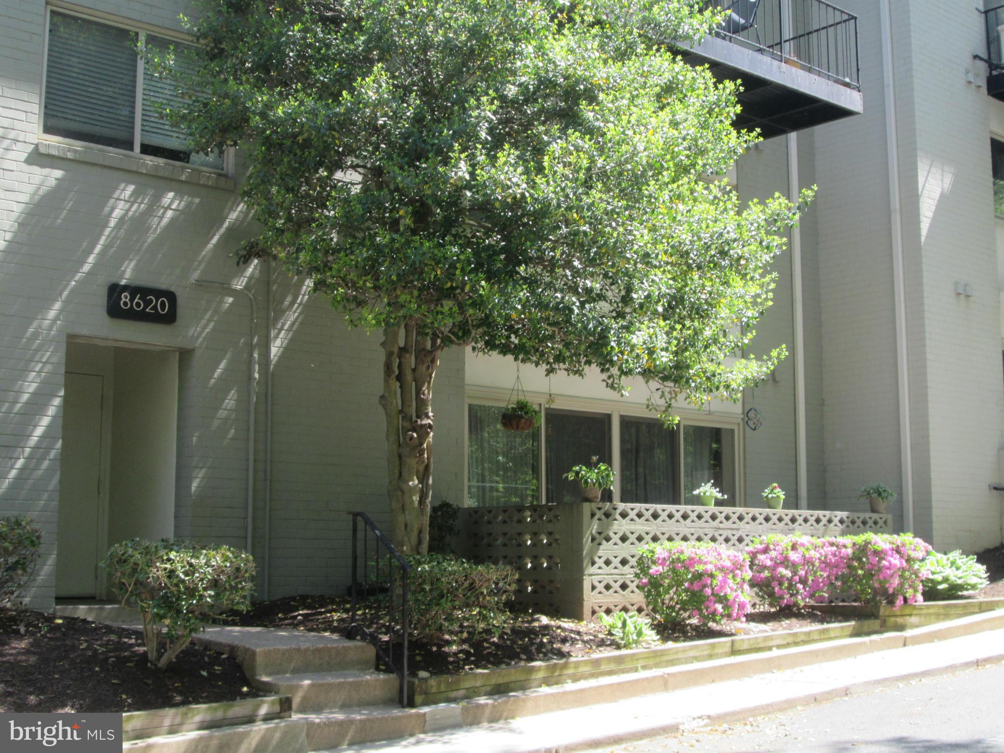 8620 Manchester Road, Unit 1 Silver Spring, MD 20901 - Photo 24 of 24 Exterior (Front)
